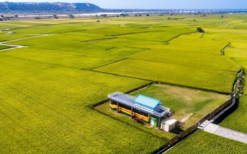 2026年5月 初夏綠意・多元美饗