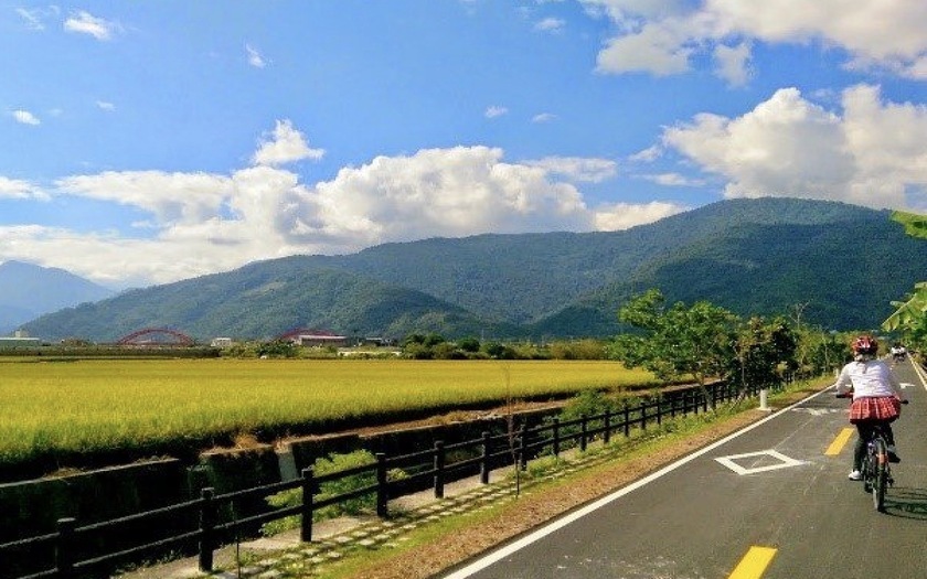 【2026/01/23_野猴子花東縱谷大地尋騎4日】野猴子森林樹冠層當泰山找童趣．花東縱谷稻路賞景觀享騎趣！  
