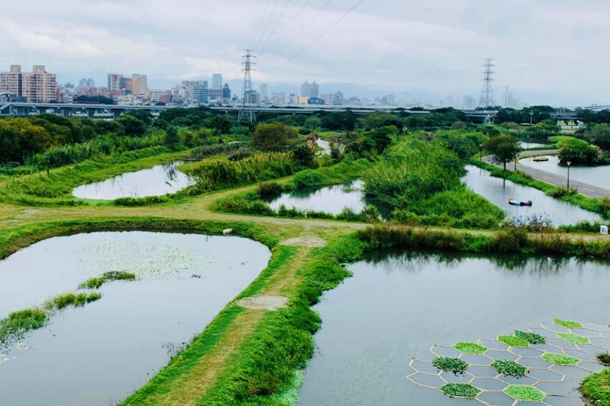 【濕地】大地之肺，生態保育的自然天堂