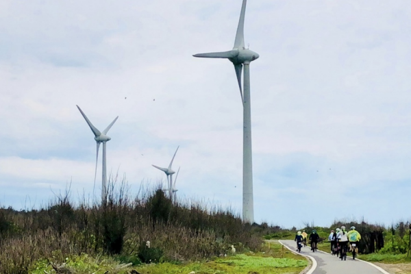 【苗栗】桐花飄香，客家文化薈萃的山城之旅
