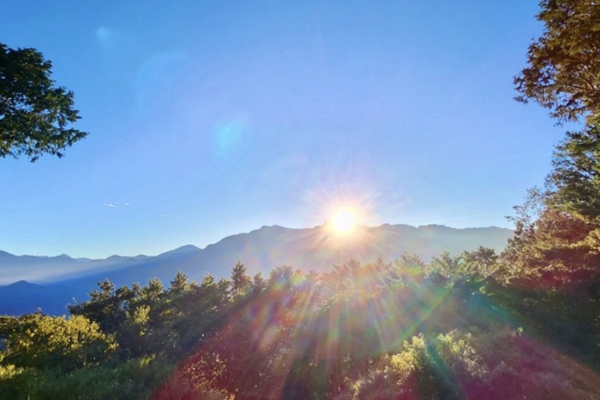 【阿里山】雲端之上的森林秘境，與自然奇觀的完美邂逅