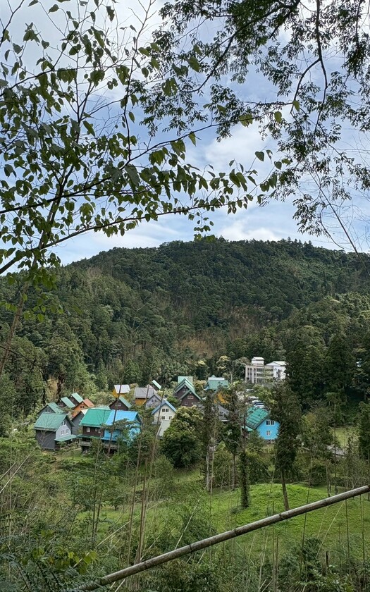 CyclingTaiwan,CyclingAdventure,阿里山雙鐵,台灣旅遊,騎行台灣,單車看見台灣,戀山戀海戀單車,愛騎愛玩愛台灣,biketour,多林車站,得恩亞納合掌村,迷糊步道,十字路車站,二萬坪黑森林,奮起湖,阿里山