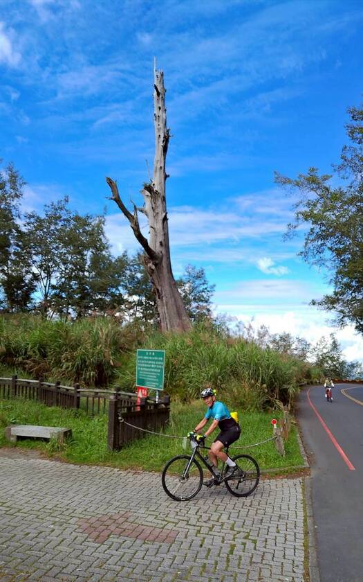 CyclingTaiwan,CyclingAdventure,單車看見台灣,台灣旅遊,單車騎行台灣,海外車友遊台灣,脊梁山脈新雙塔縱騎,雙塔縱騎挑戰,玉山觀景臺,塔塔加夫妻樹,鹿林神木,特富野古道,阿里山森林遊樂區