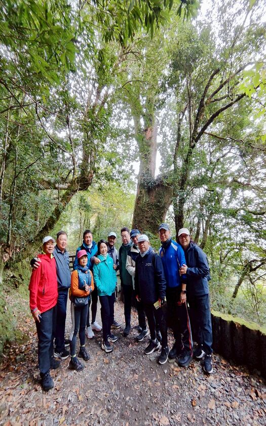 CyclingTaiwan,CyclingAdventure,單車看見台灣,台灣旅遊,單車騎行台灣,專案團,拉拉山巨木群,三龜溪觀景台,巴陵雙橋,榮華大壩,北橫之星,小烏來