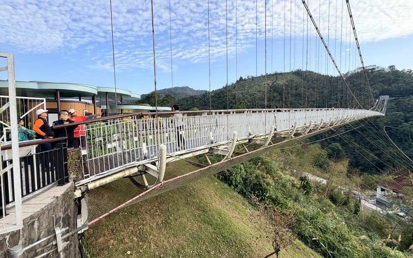 CyclingTaiwan,CyclingAdventure,單車看見台灣,台灣旅遊,單車騎行台灣,專案團,阿里山雙鐵,鐵道鐵馬,檜意森活村,北門車站,鹿麻產車站,竹崎車站,樟腦寮車站,獨立山步道,太平雲梯