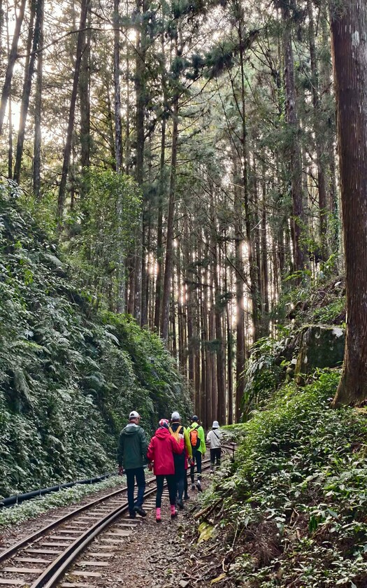 CyclingTaiwan,CyclingAdventure,單車看見台灣,台灣旅遊,單車騎行台灣,海外車友遊台灣,阿里山雙鐵,專案團,阿里山雙鐵,鐵道鐵馬,阿里山森林鐵路,大凍山,小百岳,多林車站,得恩亞納,合掌村,鄒族部落,十字路車站,二萬坪車站,蒸汽火車,二萬坪黑森林,樹抱石,阿里山夕陽