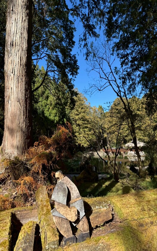 CyclingTaiwan,CyclingAdventure,單車看見台灣,台灣旅遊,單車騎行台灣,海外車友遊台灣,阿里山雙鐵,專案團,阿里山雙鐵,鐵道鐵馬,阿里山森林鐵路,祝山日出,祝山線,檜木列車,沼平車站,姊妹潭,受鎮宮,奮起湖便當