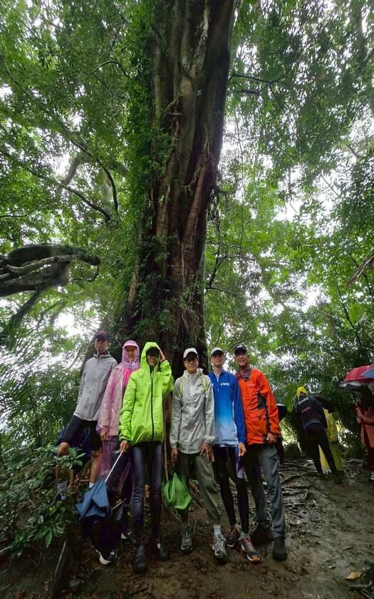 CyclingTaiwan,CyclingAdventure,單車看見台灣,台灣旅遊,單車騎行台灣,海外車友遊台灣,斯卡羅卑南道,卑南文化,布農文化,鸞山森林文化博物館,會走路的樹,山里車站,到不了的車站,十股綠色隧道,豐源國小,卡大地布部落,釋迦,知本溫泉