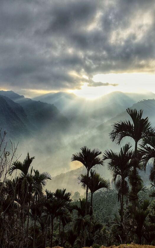 CyclingTaiwan,CyclingAdventure,單車看見台灣,台灣旅遊,單車騎行台灣,海外車友遊台灣,嘉南美景饗騎,跨年騎行,太興飛瀑,阿葉溪步道,東湖祖師廟,觀音瀑布,仁義潭水庫,南恩禪寺,蘭潭水庫 ,北回歸線