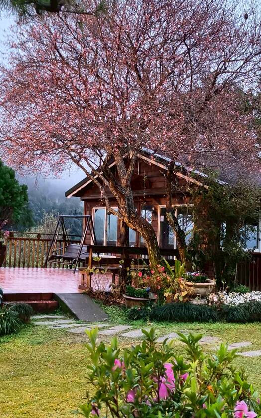 CyclingTaiwan,CyclingAdventure,單車看見台灣,台灣旅遊,單車騎行台灣,海外車友遊台灣,環小台灣,五指山,大山北月,完成的儀式感,挑戰自我,新月橋,大漢溪