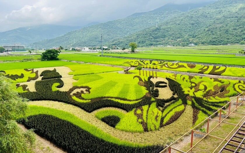 CyclingTaiwan,CyclingAdventure,單車看見台灣,台灣旅遊,專案團,花東經典遊,海端布農族文化館,關山米國學校,瑞源車站,二層坪水橋,脫線牧場,梨迦初走,十股綠色隧道,台東車站