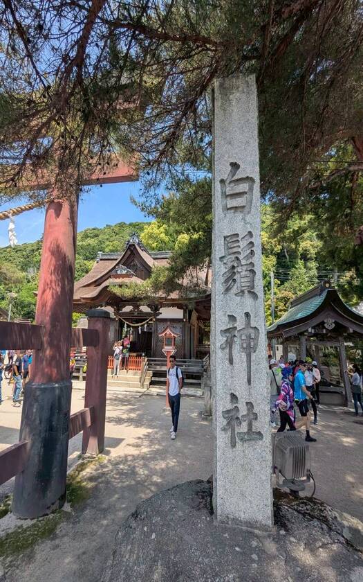 CyclingTaiwan,CyclingAdventure,單車看見世界, 日本琵琶湖單車夢幻之旅,琵琶湖騎行,Biwaichi,日本單車旅行,海外單車旅行,牧野,STAGEX高島,琵琶湖週遊之歌,白鬚神社,近江之嚴島,湖中鳥居,木戶湖岸綠地,大津港