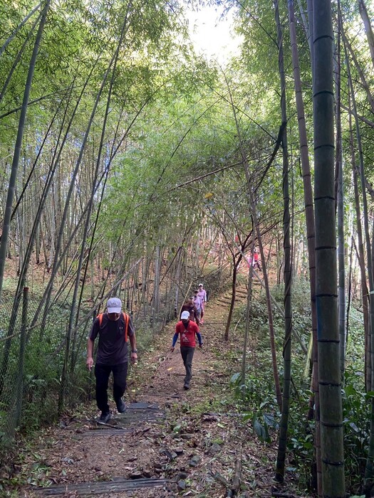 CyclingTaiwan,CyclingAdventure,單車看見台灣,台灣旅遊,biketour,海外車友騎台灣,阿里山新雙鐵,鐵馬鐵道,阿里山林業鐵路,瑞太古道,孟宗竹林,來吉部落,哈娜廚房,得恩亞納,得恩亞納合掌村,鄒族部落,多林車站,大凍山,小百岳,奮起湖車站,奮起湖老街,奮起湖便當,四方竹,阿里山騎旅,台灣單車旅行