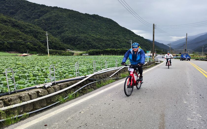 山海戀單車車友經過南山部落一帶，映入眼簾的是順著山坡與河階地鋪展的四季高麗菜園。