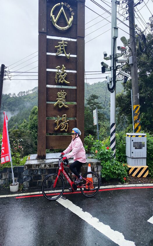 山海戀單車車友大雨中騎經武陵農場